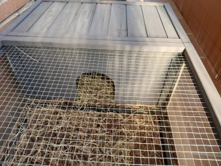 Caja Tortuga VEVOR Marrón/Gris