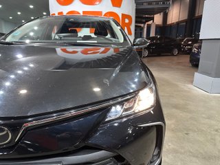Toyota COROLLA 1.6 GASOLINA 120 COMFORT (2023)