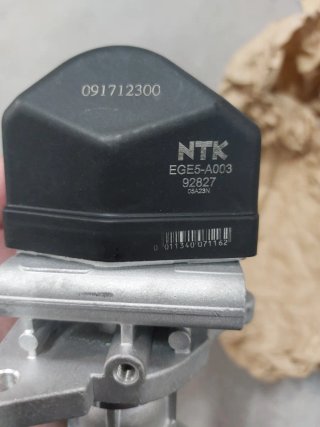 Válvula EGR NTK EGE5-A003 Opel Saab Fiat