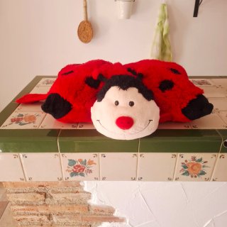 Cojín Peluche Mariquita