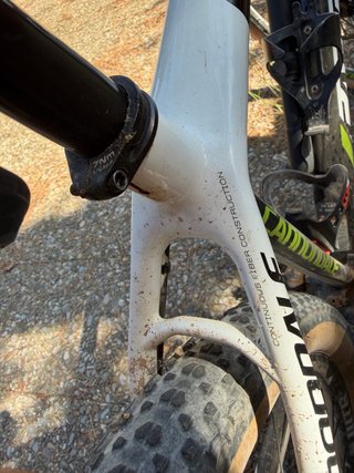 MTB Cannondale F29