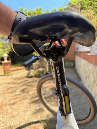 MTB Cannondale F29