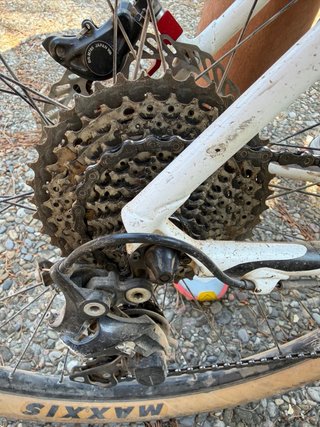 MTB Cannondale F29