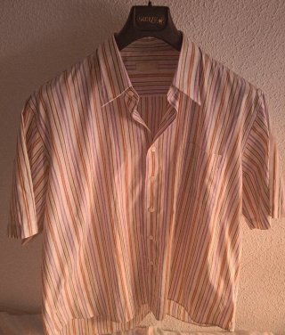 Lote 2 Camisas Verano Talla Grande