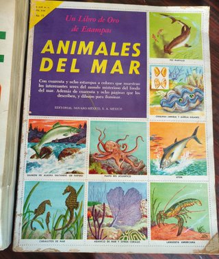 3 antiguos albumes cromos completos años 70 80