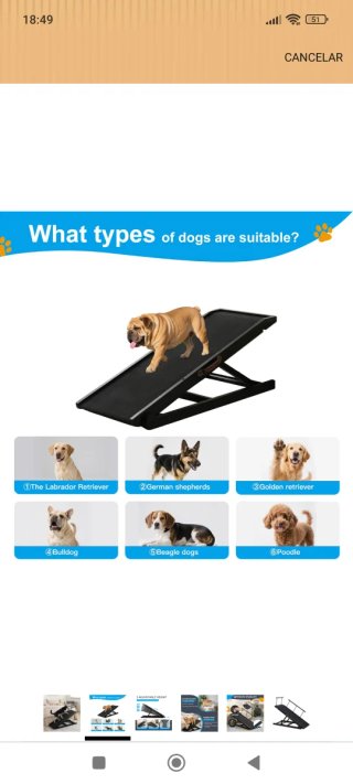 Rampa para Perro Plegable