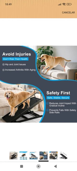 Rampa para Perro Plegable