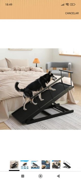 Rampa para Perro Plegable