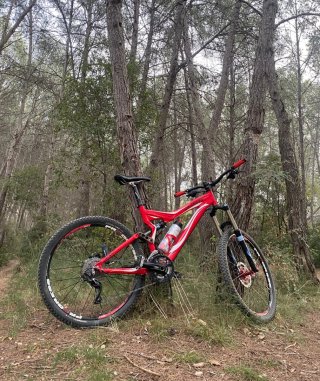 Bici mtb Specialized stumpjumper M5 expert