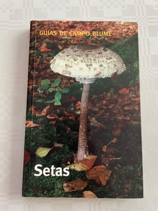 Setas cómo reconocerlas e identificarlas