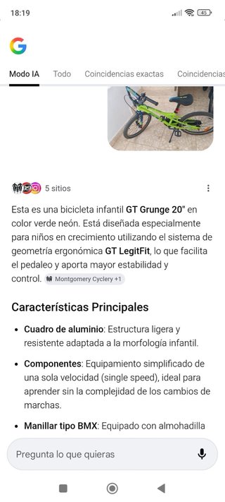 Bicicleta GT Grunge20