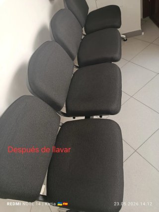 Limpieza profesional de muebles, alfombras y reves