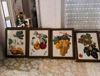 Juego 4 cuadros botánica frutas