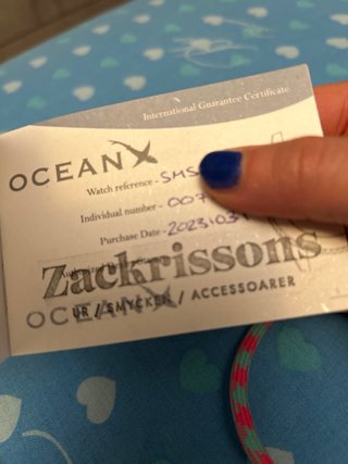 OceanX Sharkmaster 1000 Marrone Argento