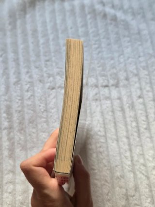 Manga 'Ne Ne Ne' en inglés