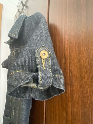Mono tejano