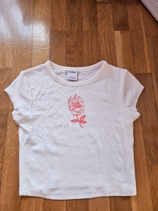 Lote 2 Camisetas Cortas Bershka y pull y bear