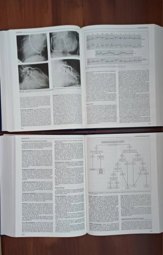 Libros de medicina interna Farreras Rozman