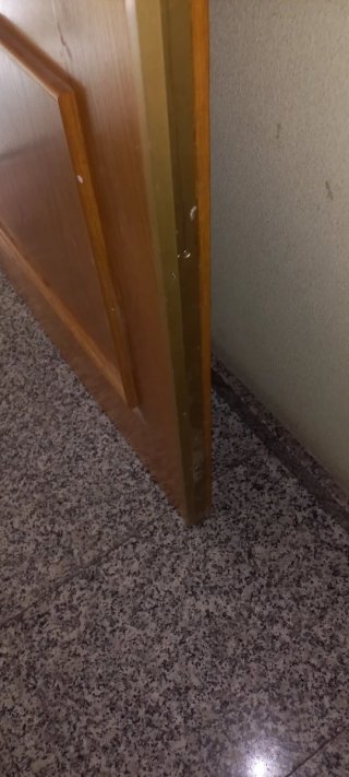 Puerta blindada