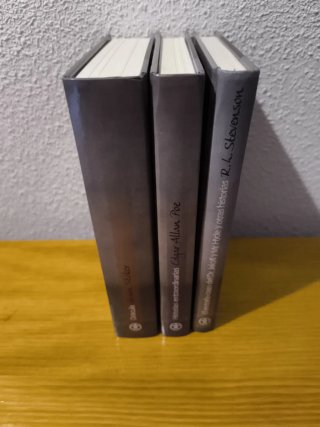 LOTE DE LIBROS CLÁSICOS DE TERROR