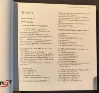 El patrimonio de los Alcores una propuesta de p...
