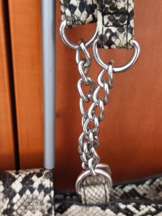 Bolso transparente con estampado de serpiente