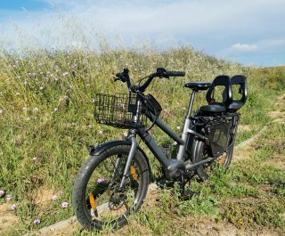 Benno Boost e10, bicicleta de carga.