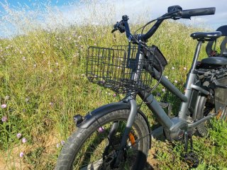 Benno Boost e10, bicicleta de carga.
