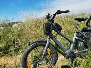 Benno Boost e10, bicicleta de carga.