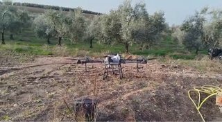 Servicios agricolas con dron