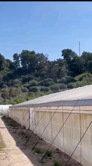 Servicios agricolas con dron
