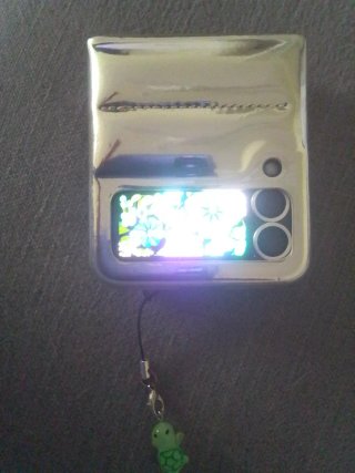 Samsung Galaxy Z Flip 3 Negro 256GB