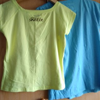 Lote 2 camisetas veraniegas.