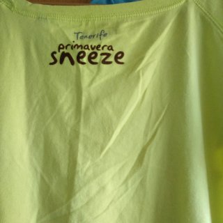 Lote 2 camisetas veraniegas.