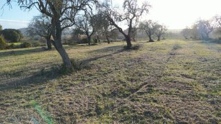 Terreno rústico+caravana