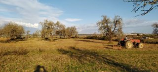 Terreno rústico+caravana