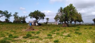 Terreno rústico+caravana