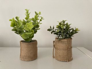 Plantas decorativas de yute y plástico