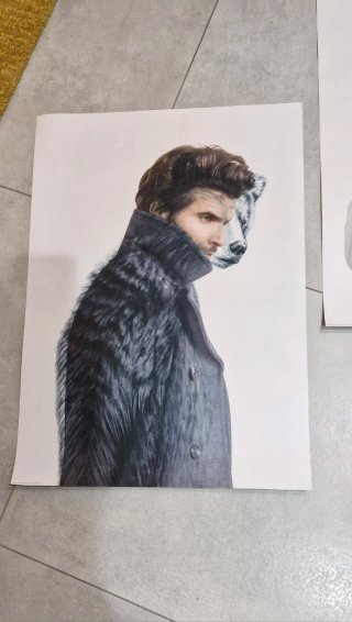 Póster Metamorfosi  50x70 in  Cartone