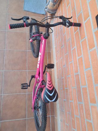 Bicicleta Infantil B-Pro 20 Rosa