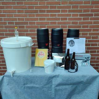 Equipo Cerveza Casera BrewZilla Gen 2