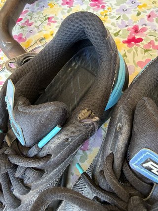 Pack de zapatillas de Nike y puma
