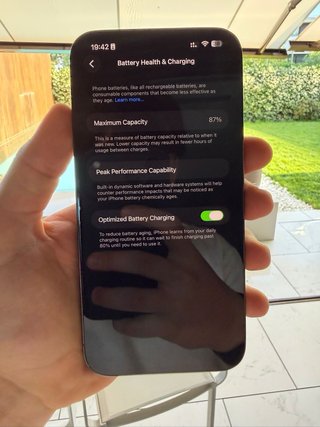 iPhone 13 Pro Max 256GB - 87% Batteria