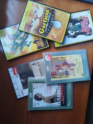 Lote Películas DVD: Garfield, Lady Falcó, Anastasi
