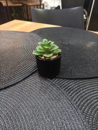 Planta artificial decorativa para mesa