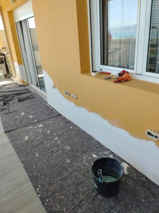 PINTURA Y ALISADOS