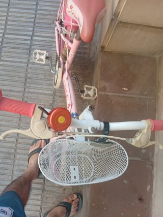 Bicicleta Infantil Rosa con Cesta de niñas
