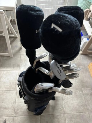 Lote Palos de Golf y Bolsa Siemens