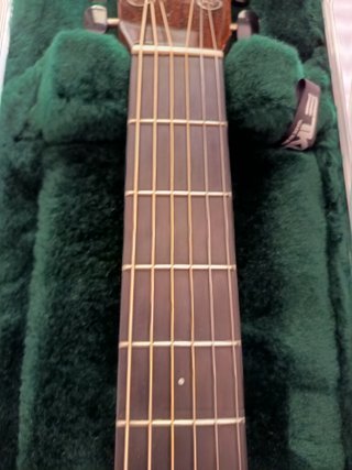 Guitarra Acústica Mayson MS5