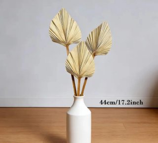 8 Hojas de Palmera Secas Para Decoración